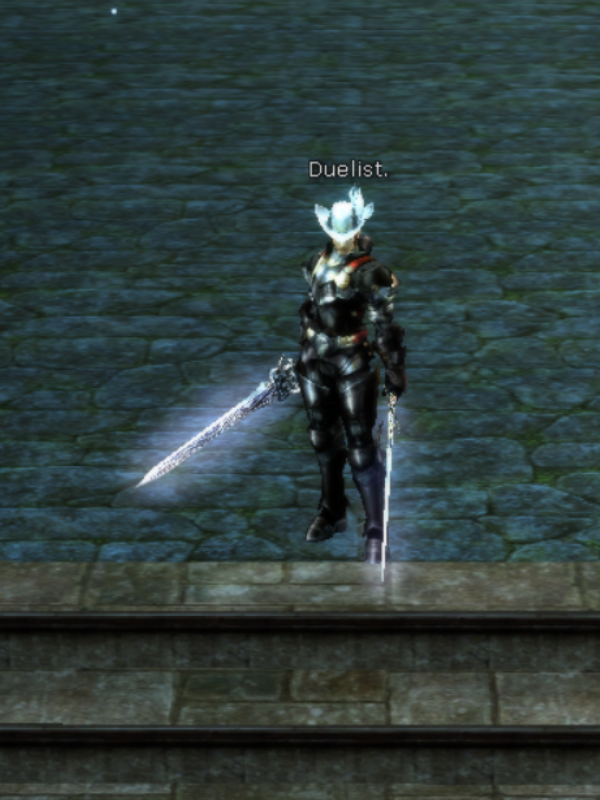 Lineage 2 Duelist Lineage 2 Duelist