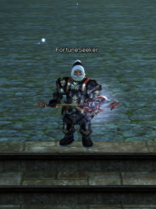 Lineage 2 Fortune Seeker Lineage 2 Fortune Seeker